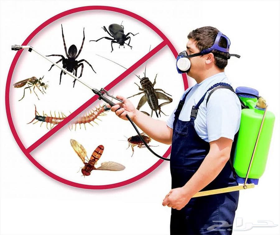 A cleaning company provides comprehensive cleaning for homes and offices, safe disinfection with...63012504156801111