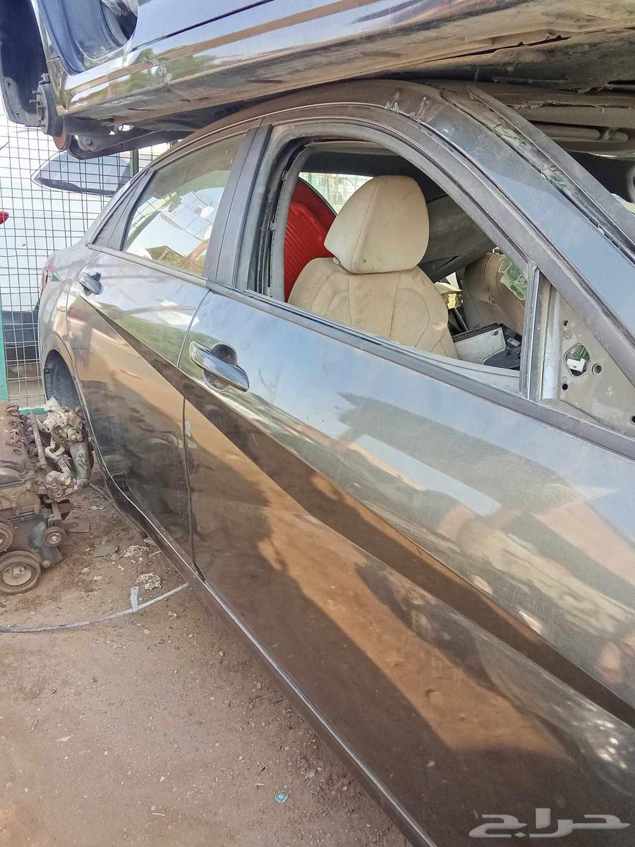 اكسنت النترا63172731986434111