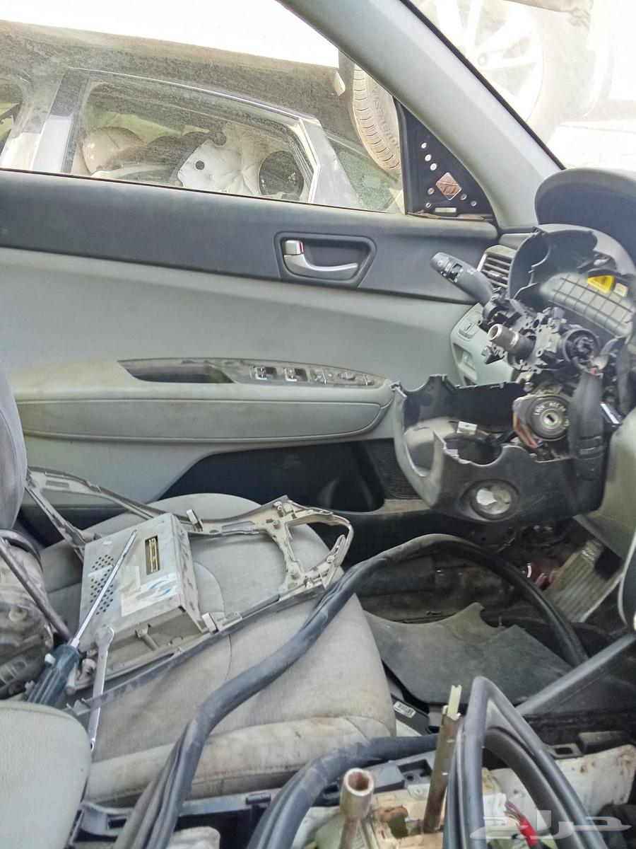 اكسنت النترا63172731986434112