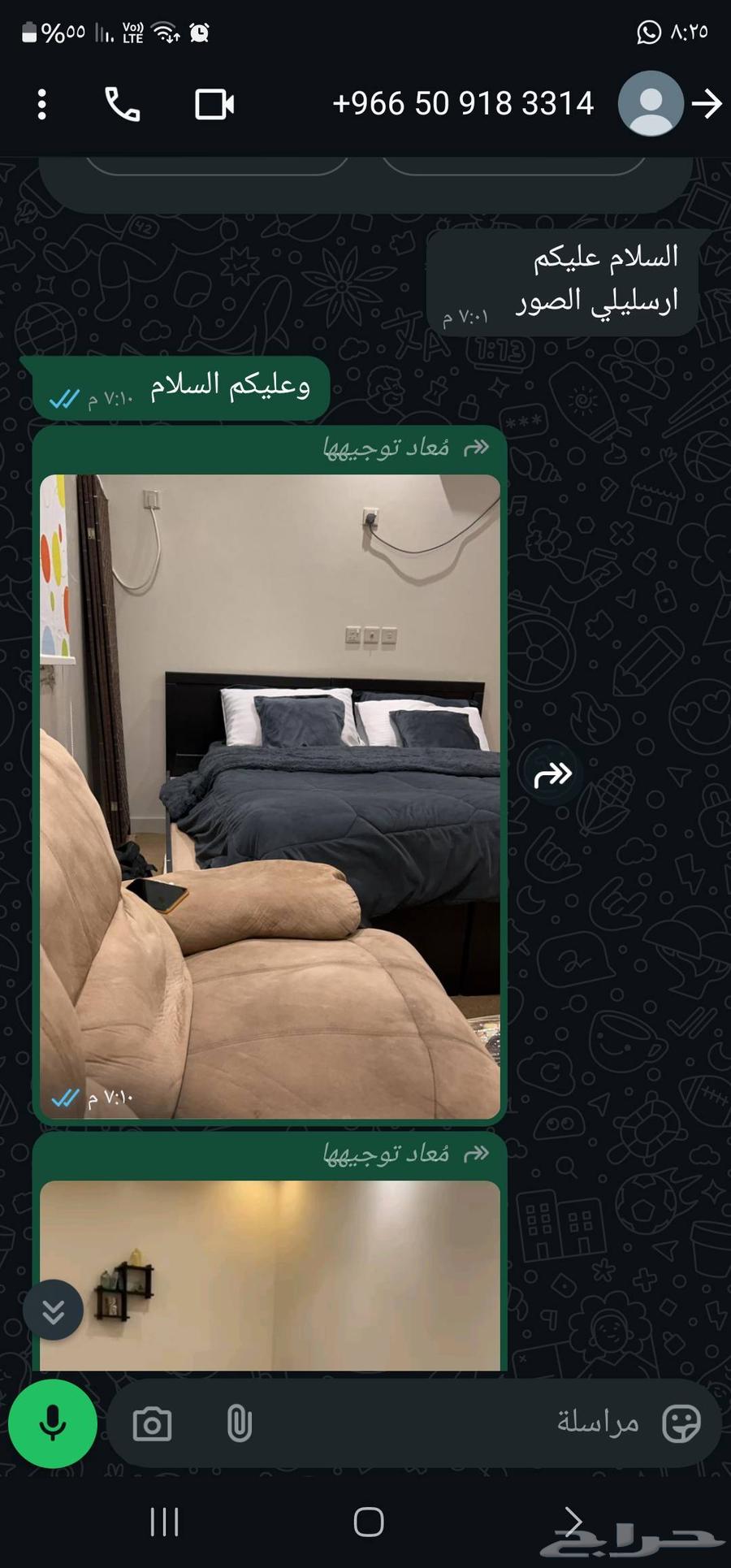 Small furnished apartment for rent in Abha today for 20063010920808321111