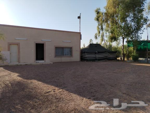 A rest area or farm for rent or sale, Al-Shuaybah Al-Maiah63441056466819112
