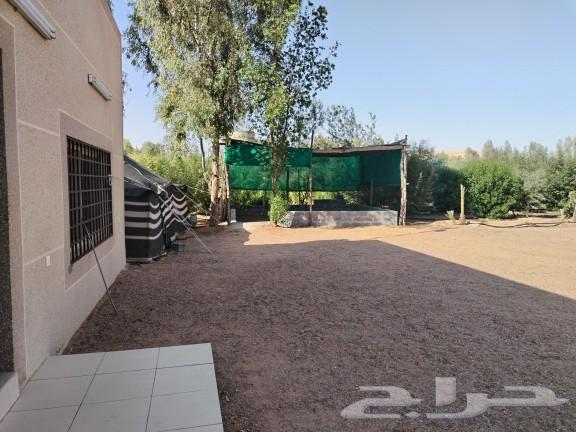 A rest area or farm for rent or sale, Al-Shuaybah Al-Maiah634410564668191126