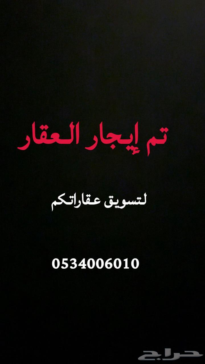 شقة للإيجار