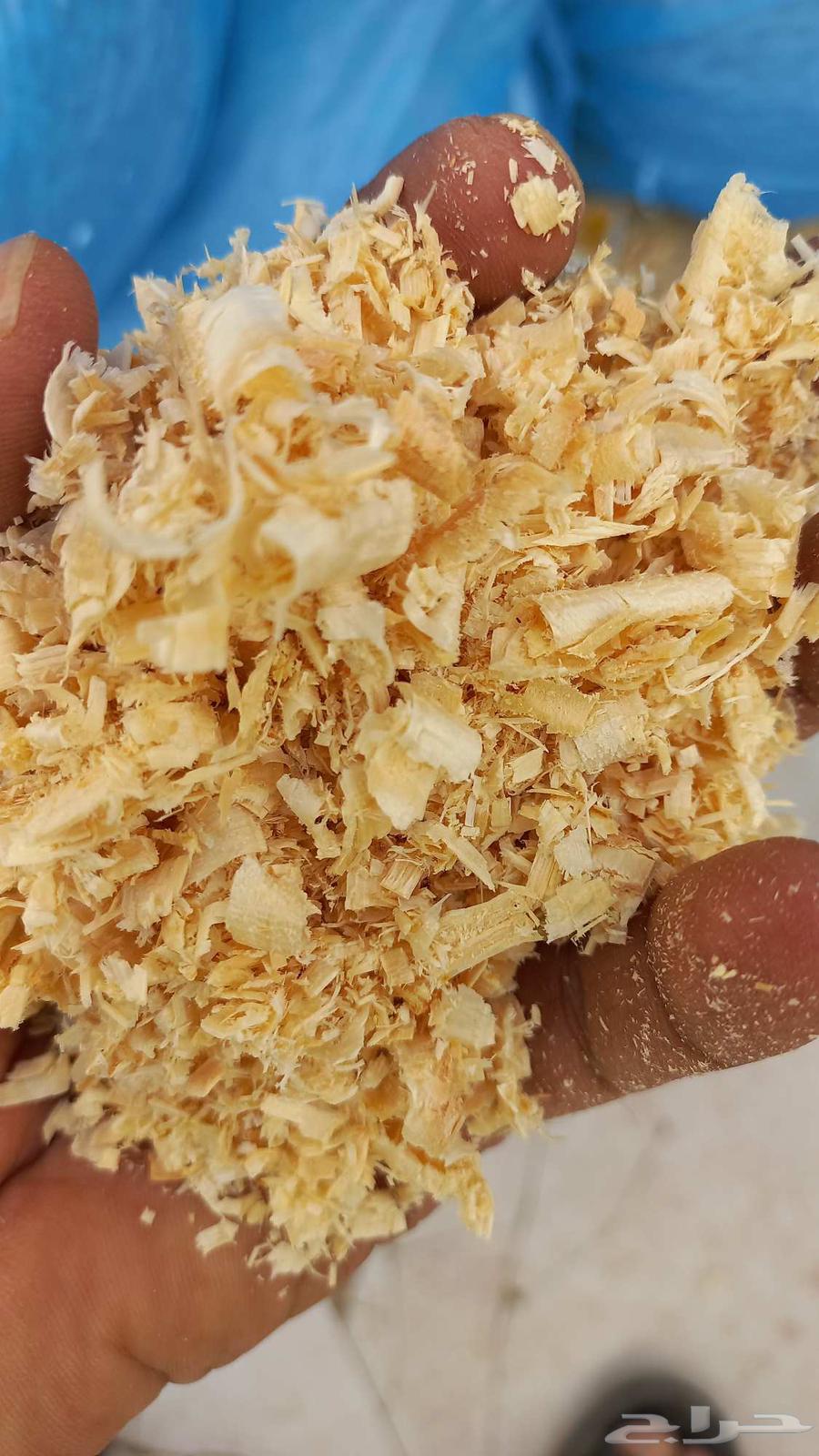 Excellent wood shavings, very very very good for horses, chickens, and birds for sale.634222635358731120