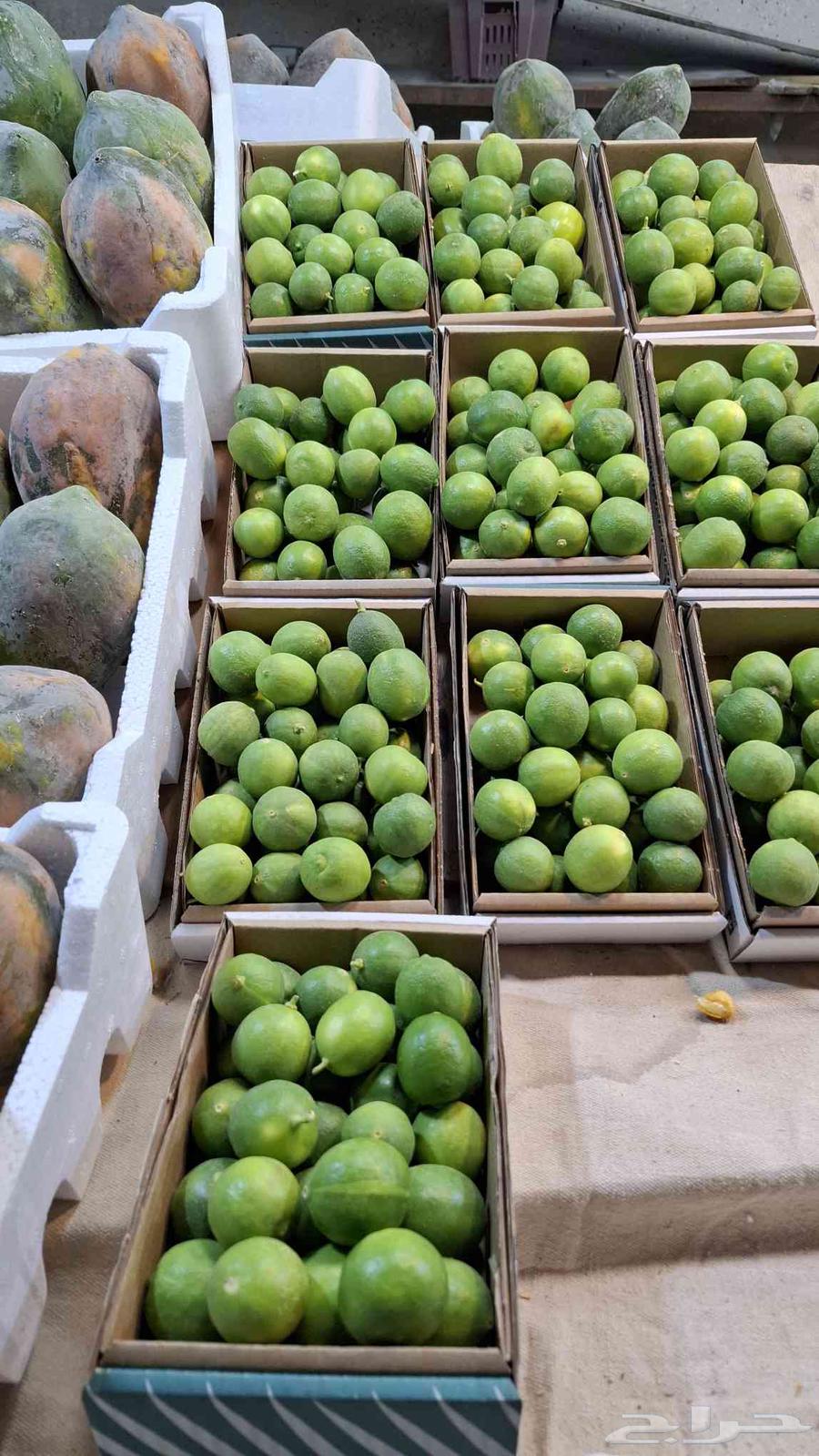Dates and lemon cartons  
Hassa products cartons63171068108547113