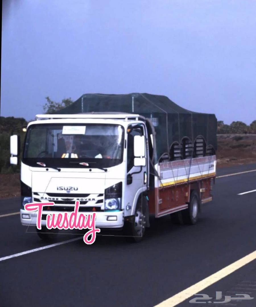 Dina for shipping goods within Riyadh63033595540483117