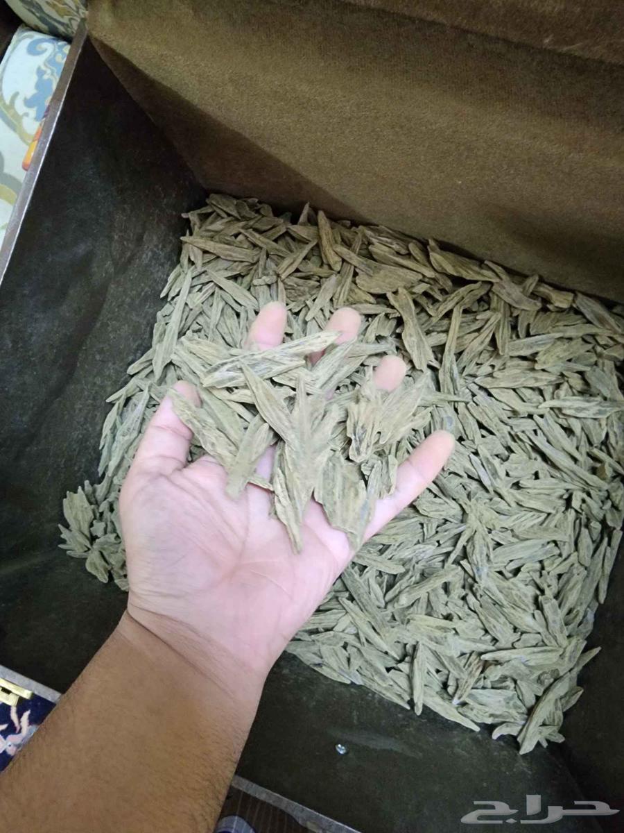 عود محسن ممتاز جدااا متوفر اخير كيلو من كميه كامله بسعرمجنون63422478472707112