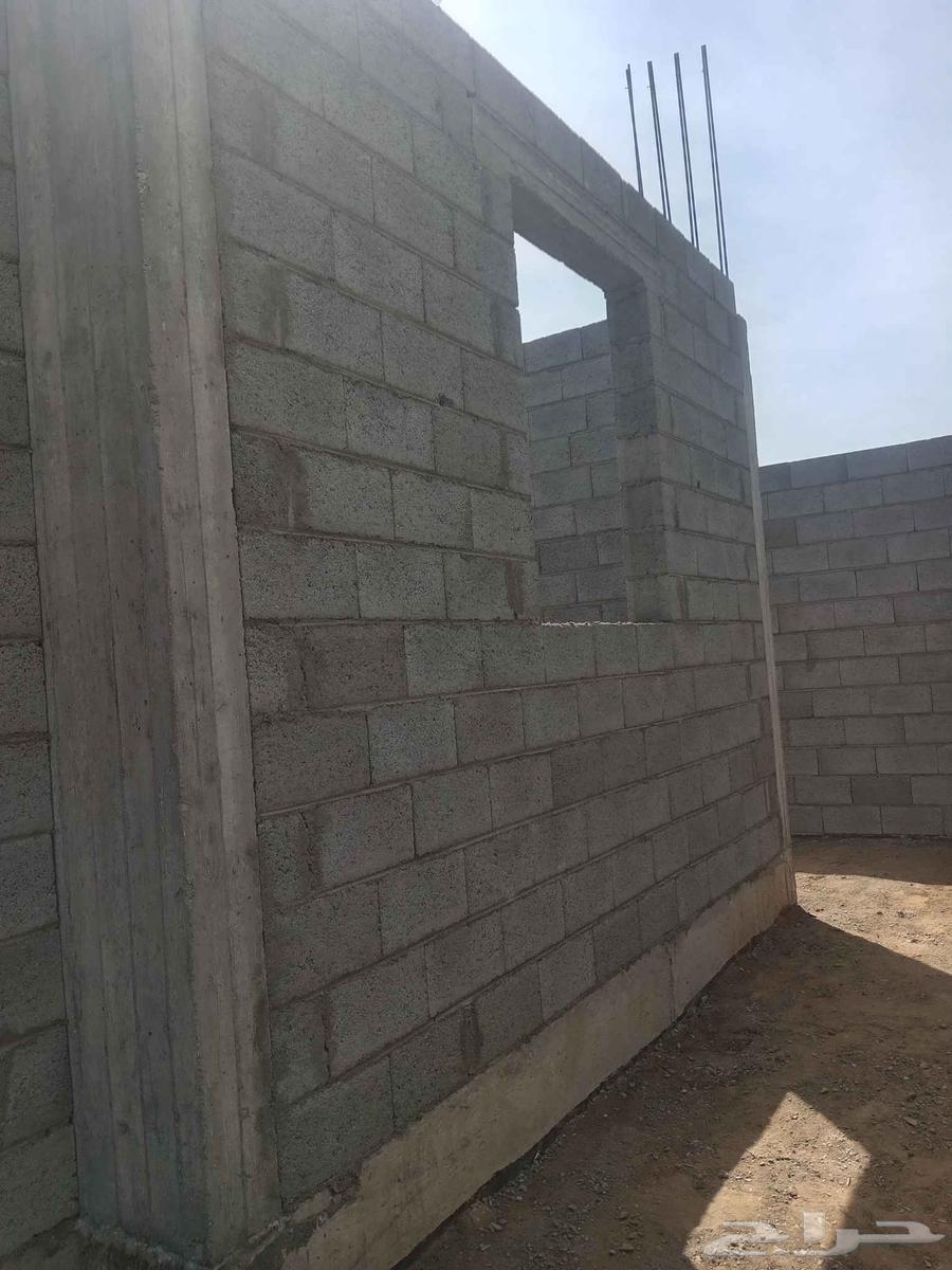 مقاول مصري عظم630331533465631121
