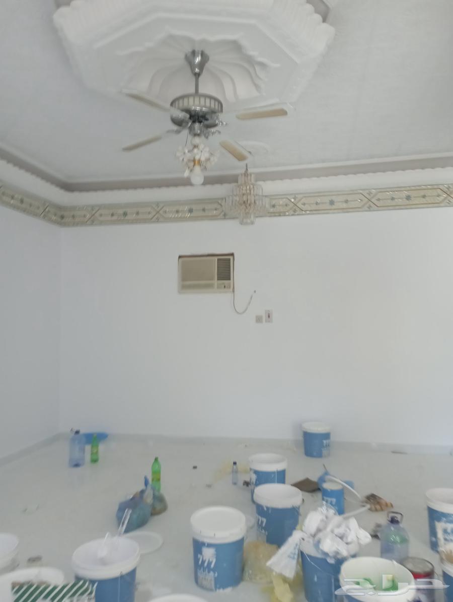 معلم بويا دهان مباني حائل63033598050689112