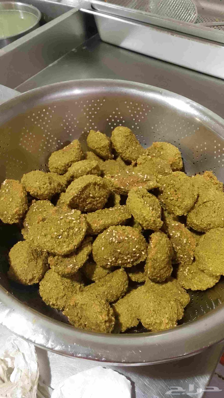 محتاجرللايجاربوفيةو مطعم فول فلافل انا خبر في المجال 12 سنه63440945939843113