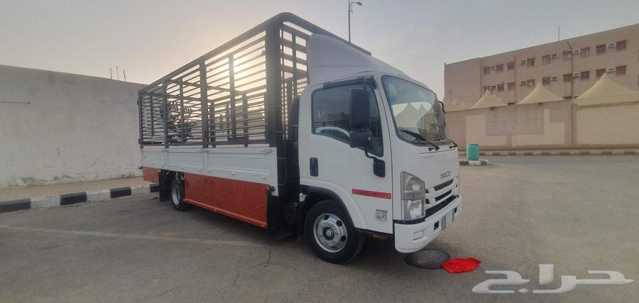 دينه محايل عسير63033595874307111