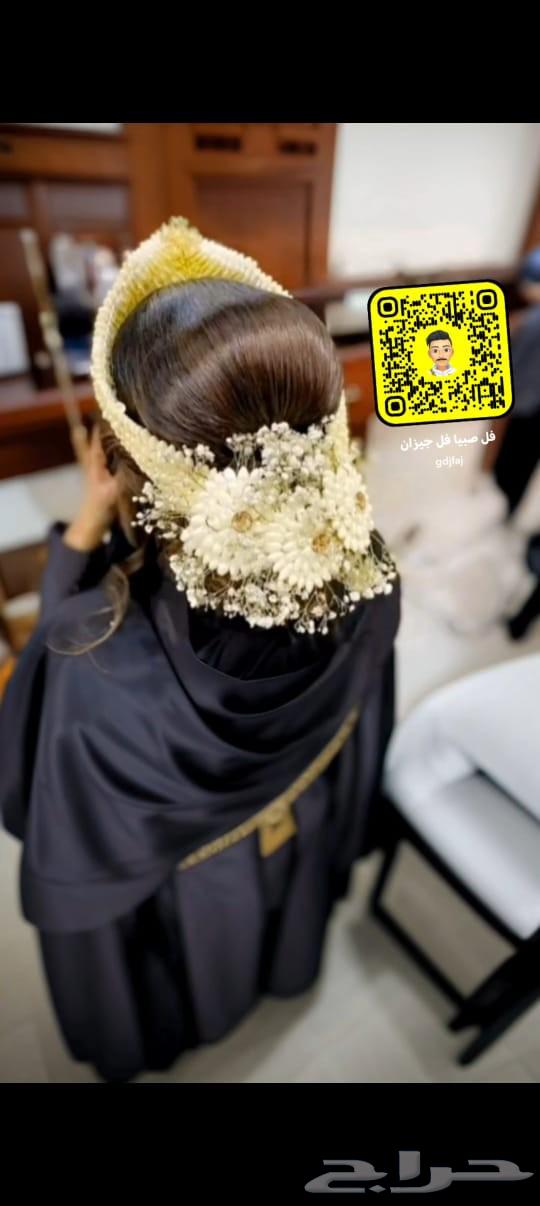 فل صبيا جيزان فل جيزاني63033597442561113