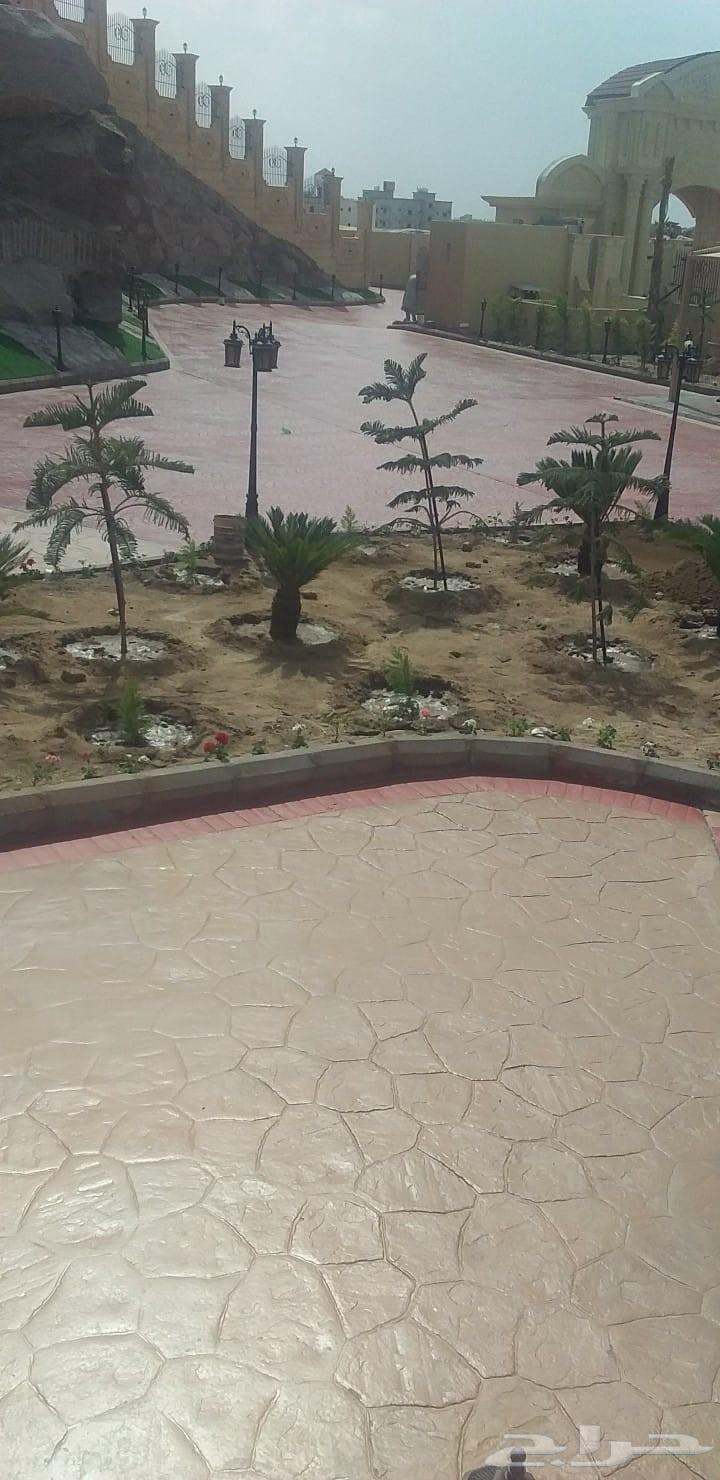 صبه مروحه صبه مزانيه صبه مطبوعه صبه عرضيه63034823981442113