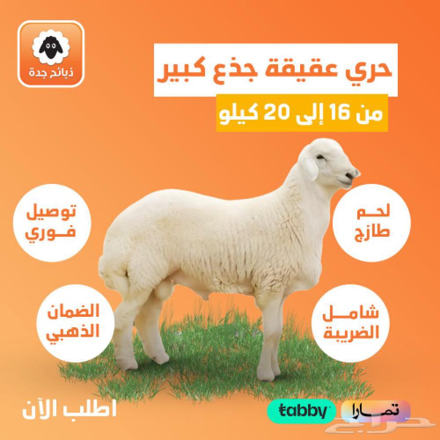لحم حري بالكيلو جده - خروف كشميري - لحم مبرد -لحم طازج توصيل63416625843842111