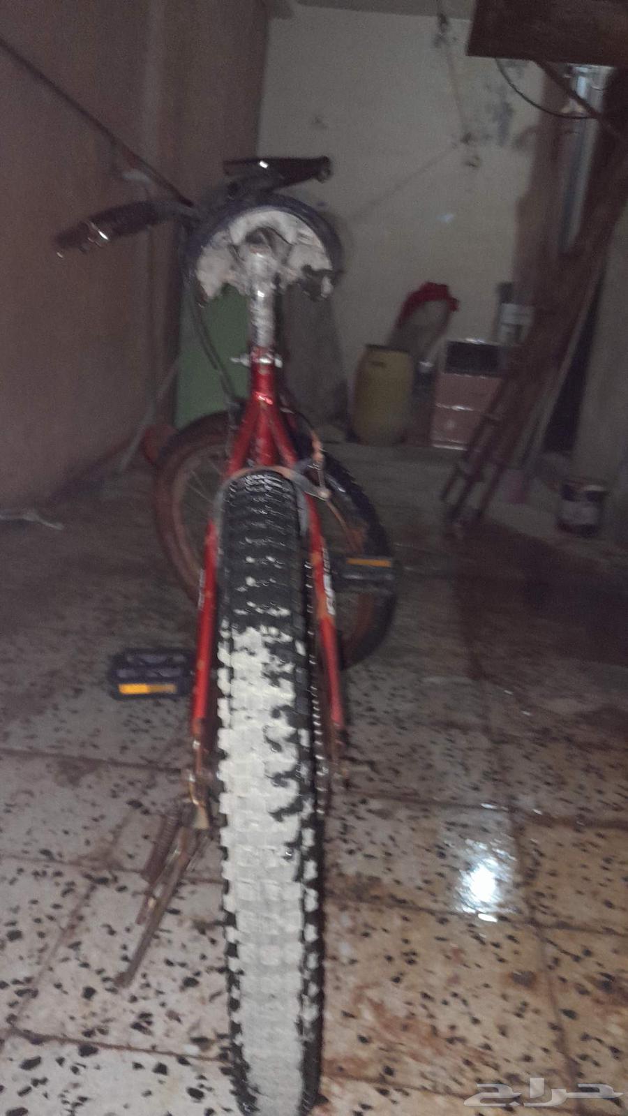 bike for sale 200 or 110 SAR63415821287682112