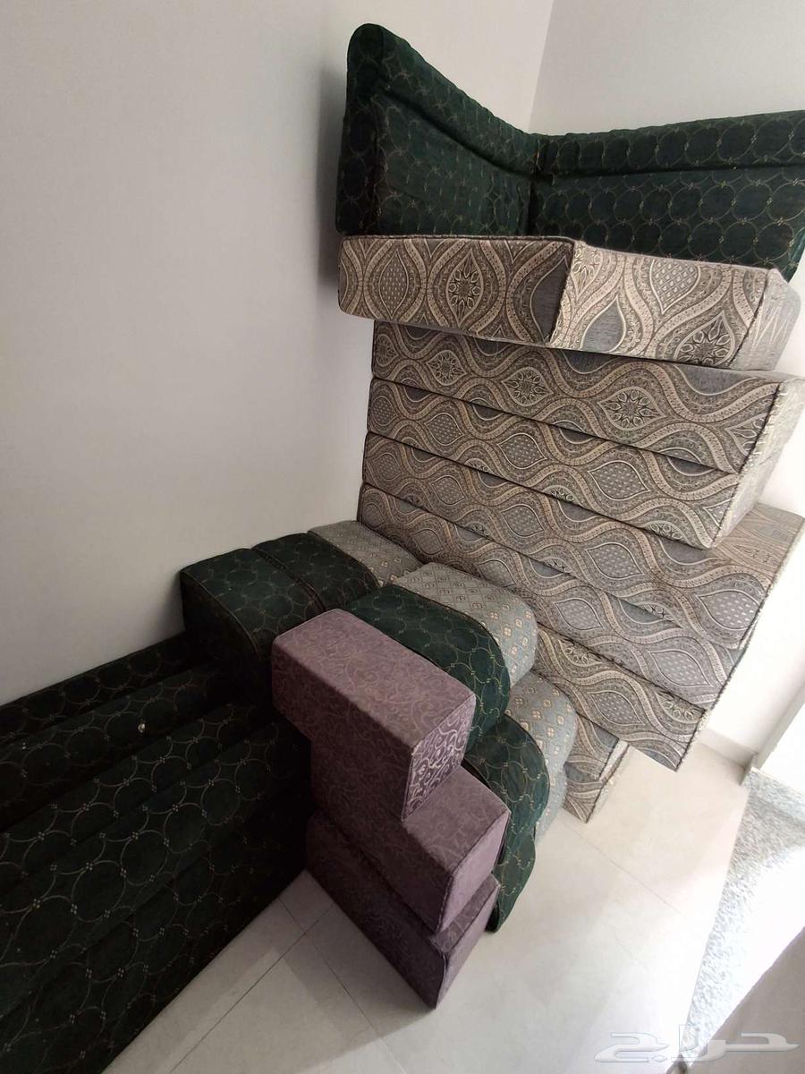 اسفنج مضغوط بي 500 قابل للتفاوض البسيط63417809074179115