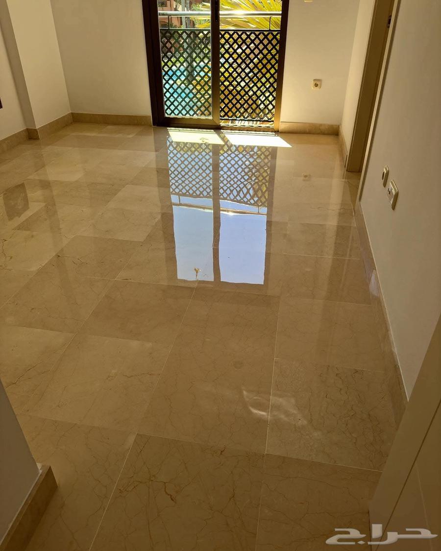 Clean ceramic tiles shine, clean porcelain tiles63033164963970113