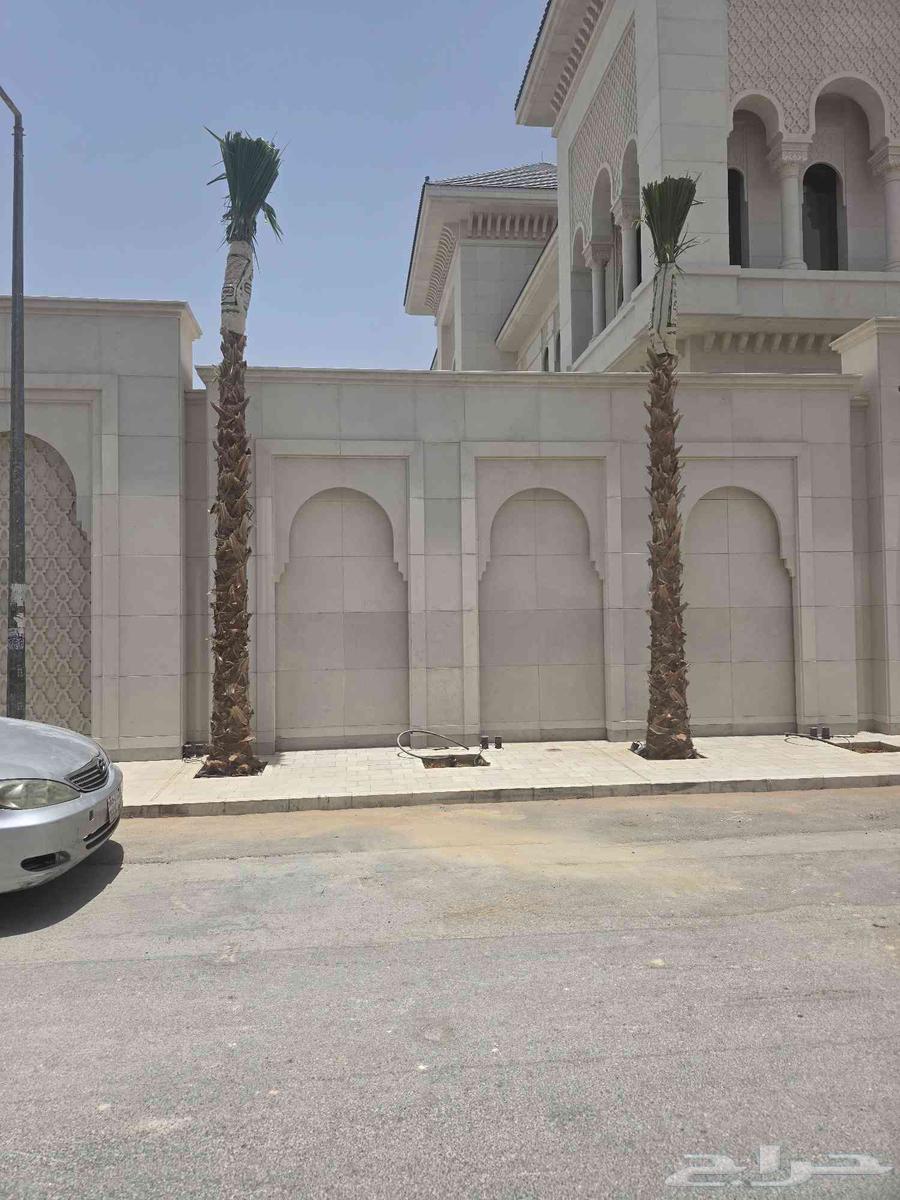 نقوم بتوريد وزراعة النخل الواشنطن جميع الاطوال والاشكال63034028759043112