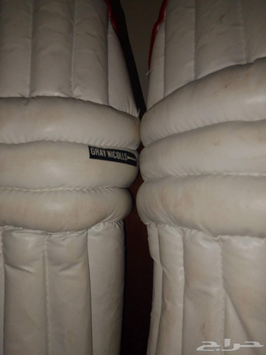 Grey Nicolls cricket batsman pad63413484058755114