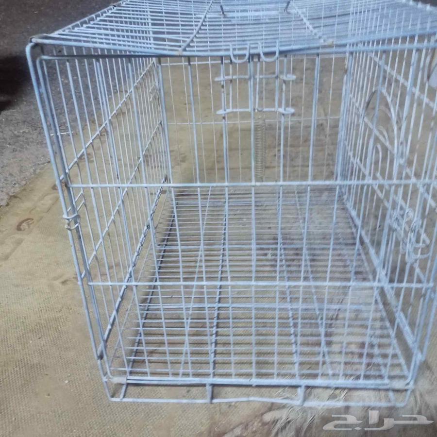 A used cage, some parts of it are missing63419678177922111