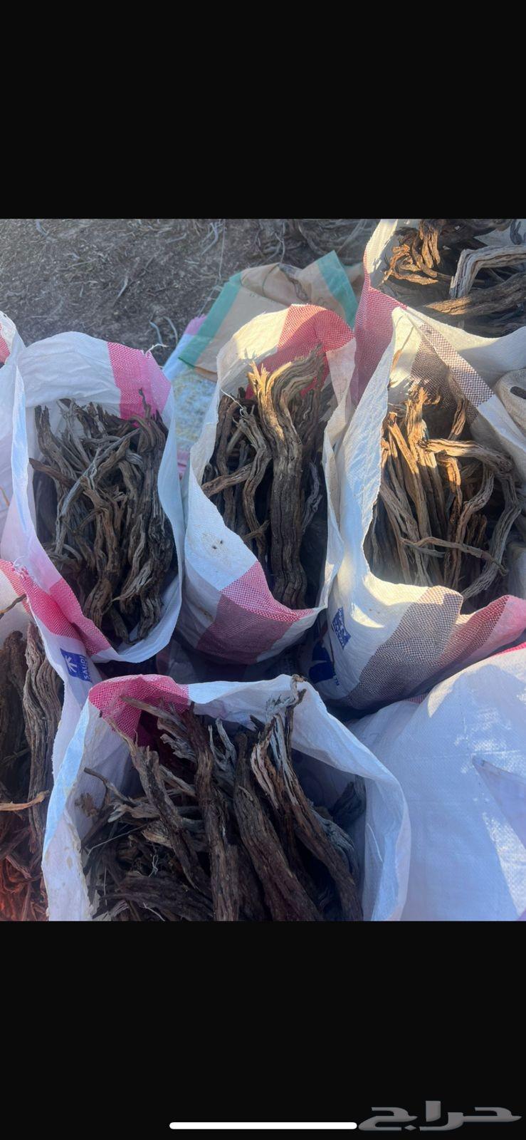 Rhamnus wood for sale63415278130435113