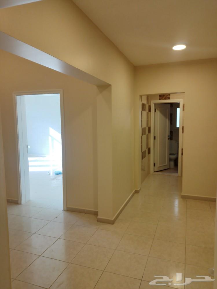 Painting and decoration in Dammam63032710896770113