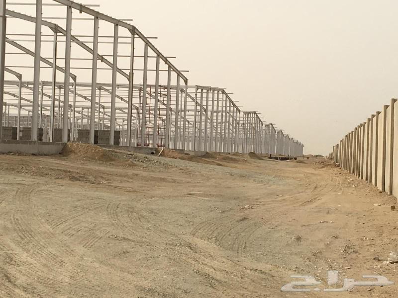 مقاول مستودعات وهناقر63033602376321112
