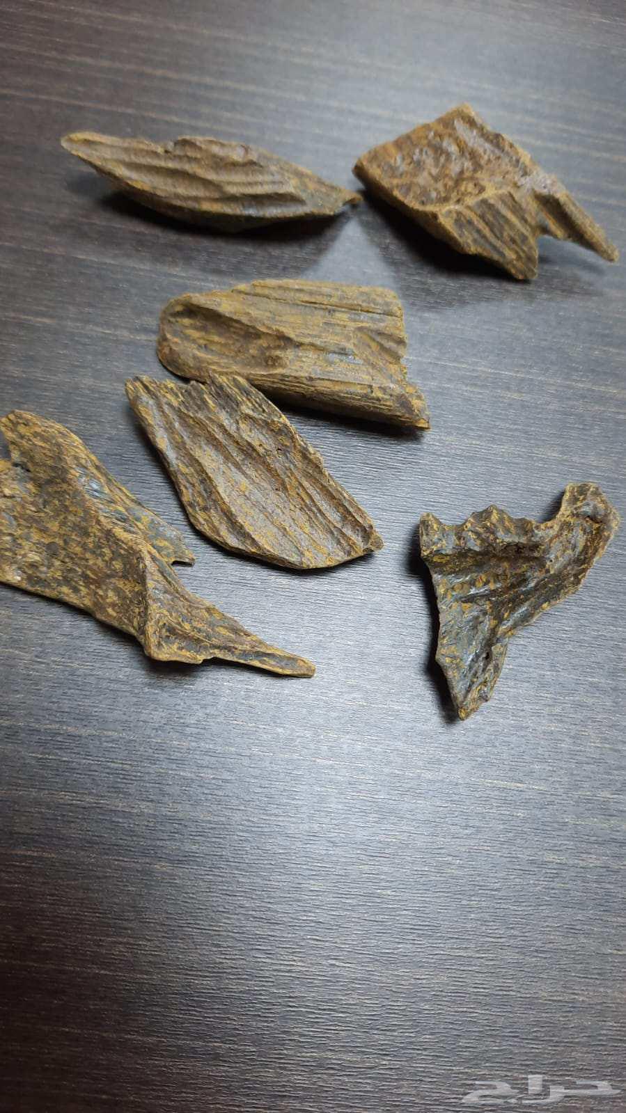 عود كلمنتان محسن درجه اولى 1600ريال الكيلو634187043072021115
