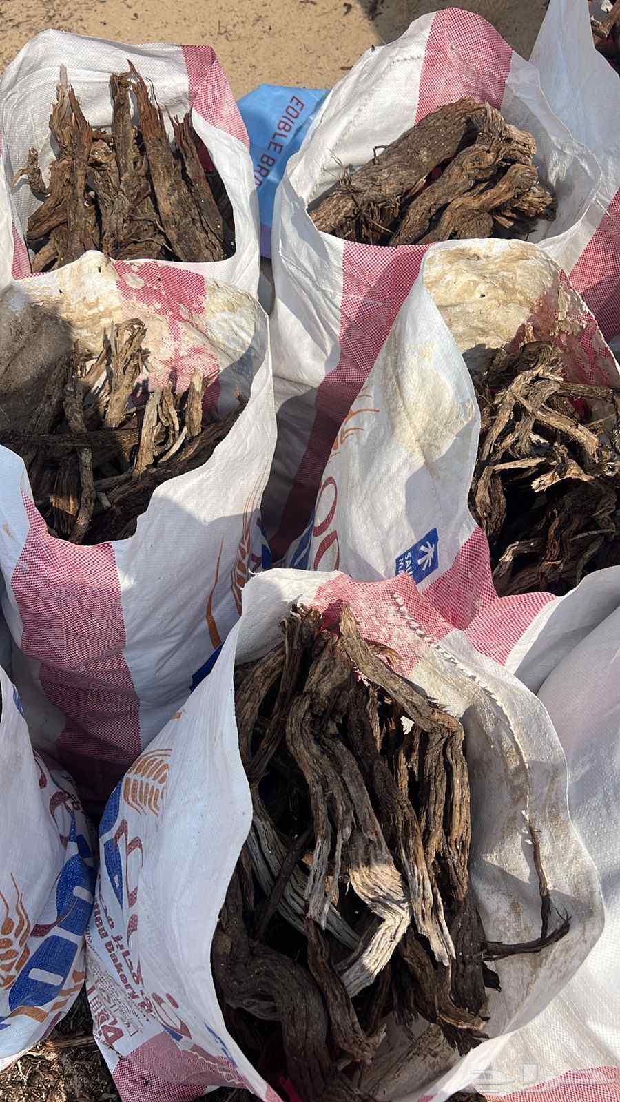 Rhamnus wood for sale63415278130435112