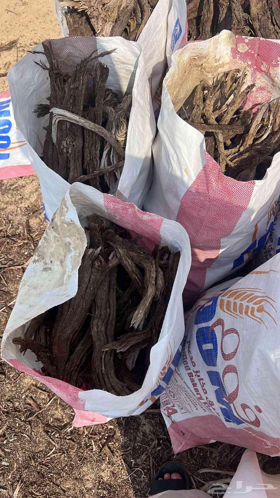 Rhamnus wood for sale63415278130435119