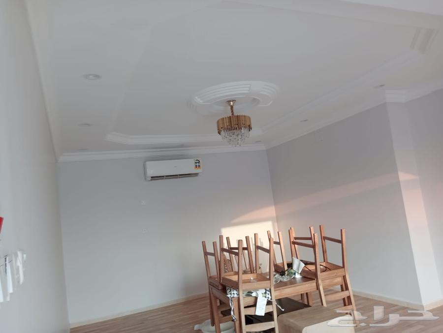 Teacher Boyeh in Al-Madinah Al-Munawwarah63032721184769114