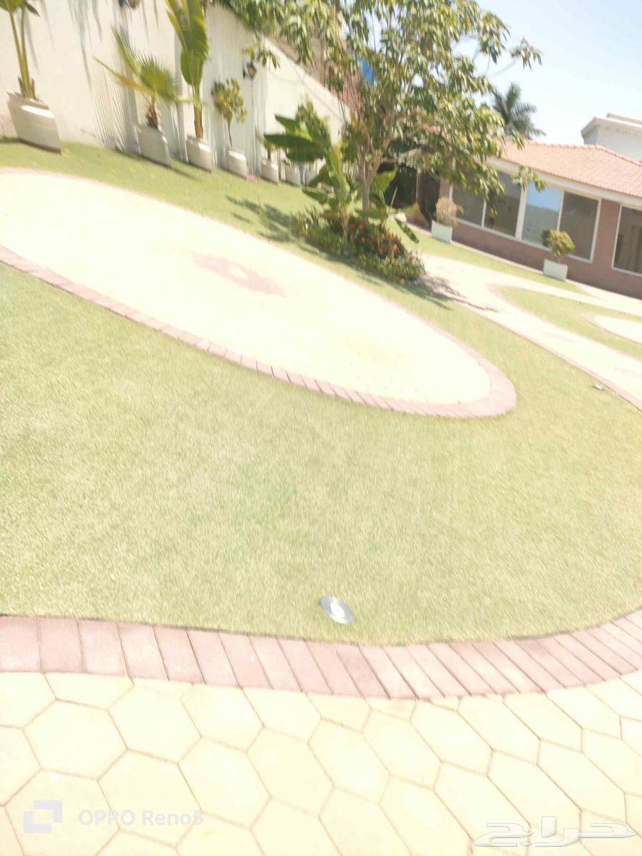 Today's work includes maintenance, irrigation, fertilization, and pruning of trees in a villa.63032291762946113