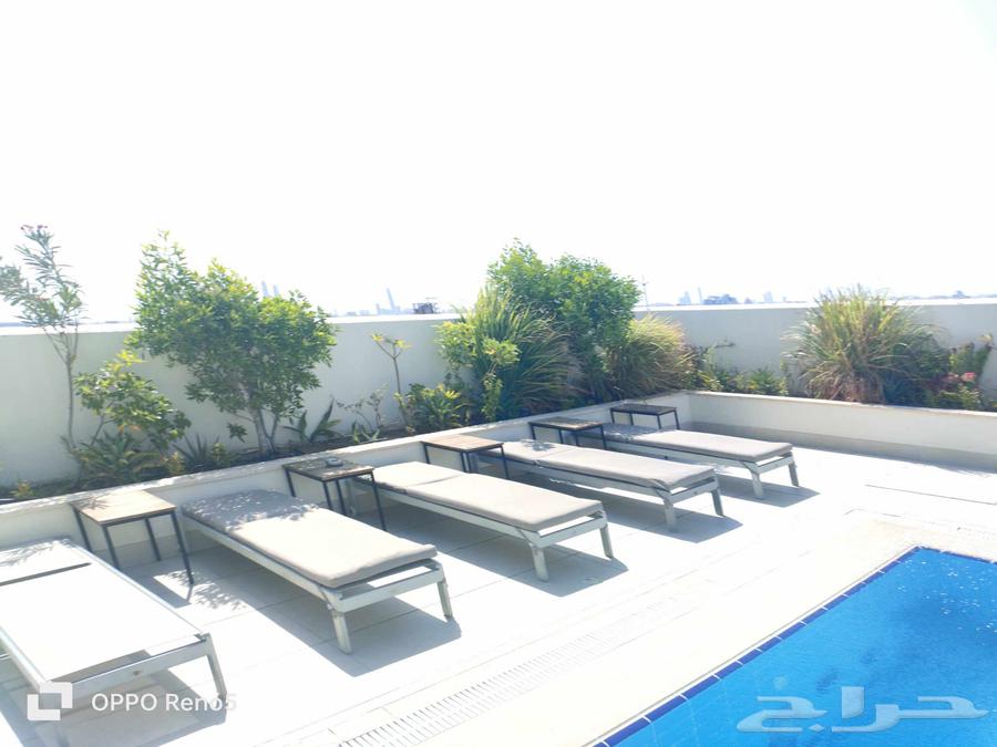 Today's work includes maintenance, irrigation, fertilization, and pruning of trees in a villa.630322917629461113