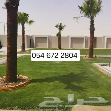 There is natural turf available at 10 riyals per meter63411574490626112