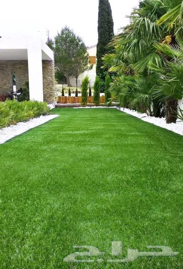 There is natural turf available at 10 riyals per meter634115744906261111