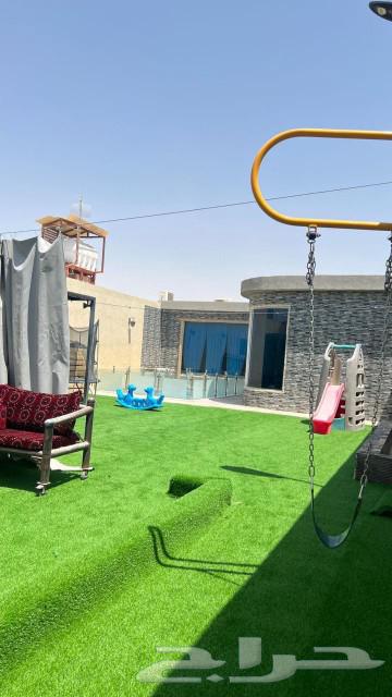 450 فقط في وسط الاسبوع63411215872129114