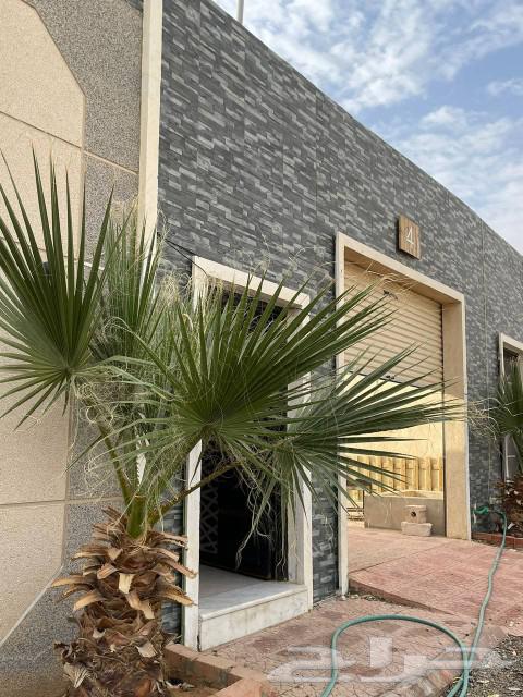 450 فقط في وسط الاسبوع634112158721291111