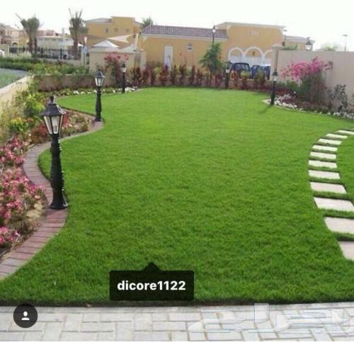 There is natural turf available at 10 riyals per meter63411574490626111