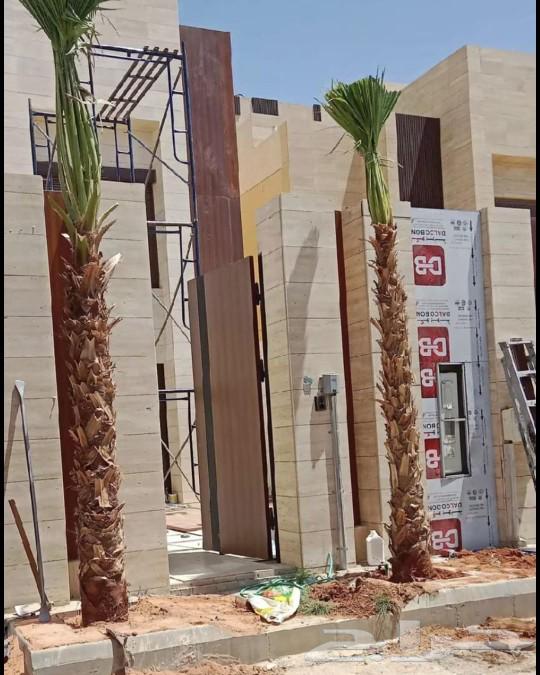 زراعه63408700538113113