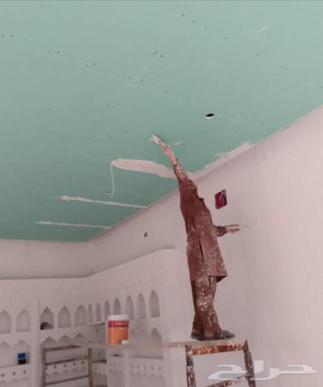 شغل دهان بويا صبغة ديكورات معلم باكستاني63032290495874114