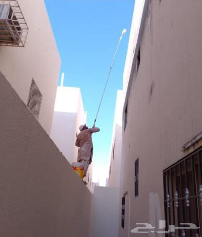 شغل دهان بويا صبغة ديكورات معلم باكستاني63032290495874112