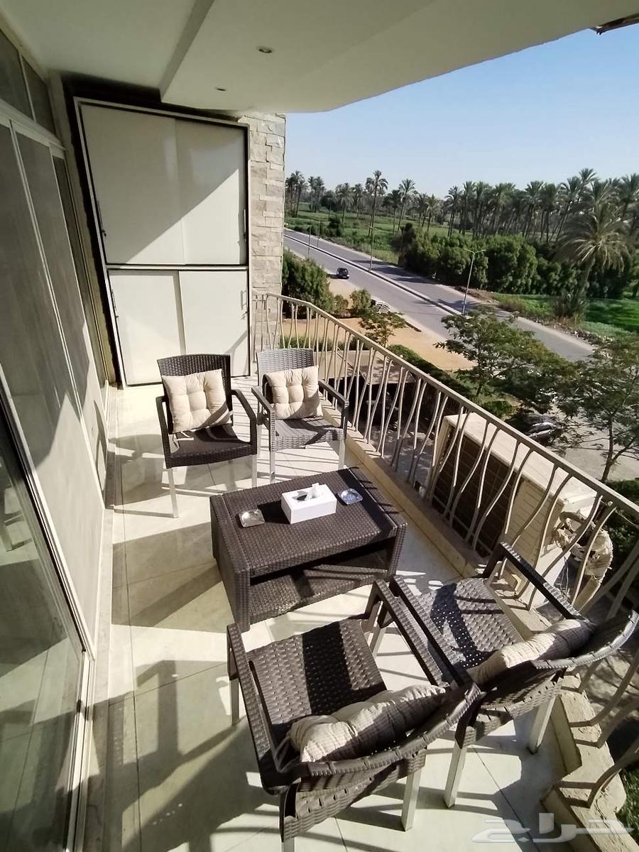 Egyptian Tourism Services63032723088515111