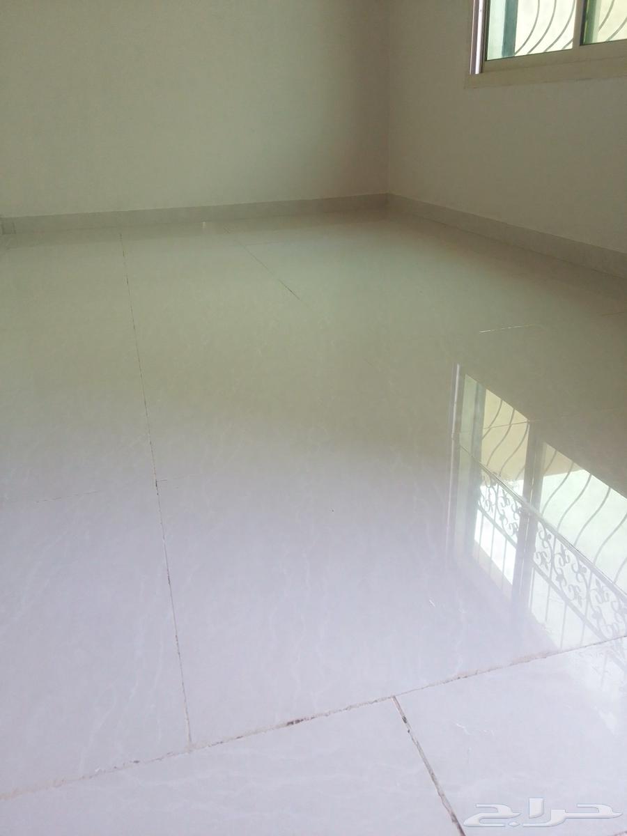 Jelli polishing ceramic marble serum63033170068611111