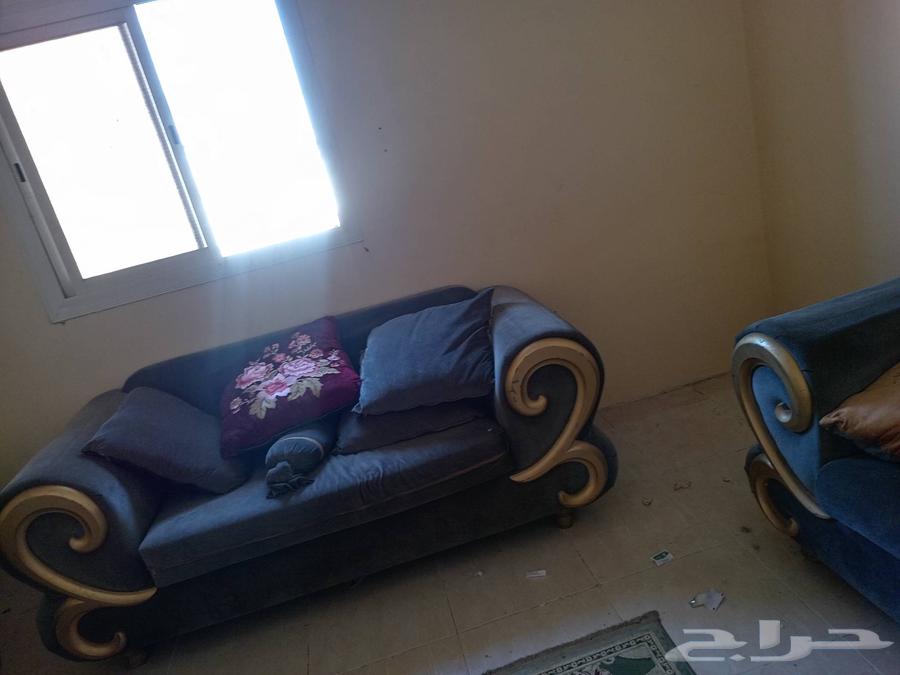 ثلاجه كبيرة 450ريا اسطوانة مع منظم ولي 200ريال غاز 250 رياه63406309439235113