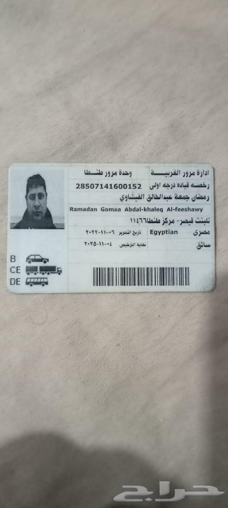 Egyptian drivers of transport, private and trailer vehicles present in Egypt630336049884181127