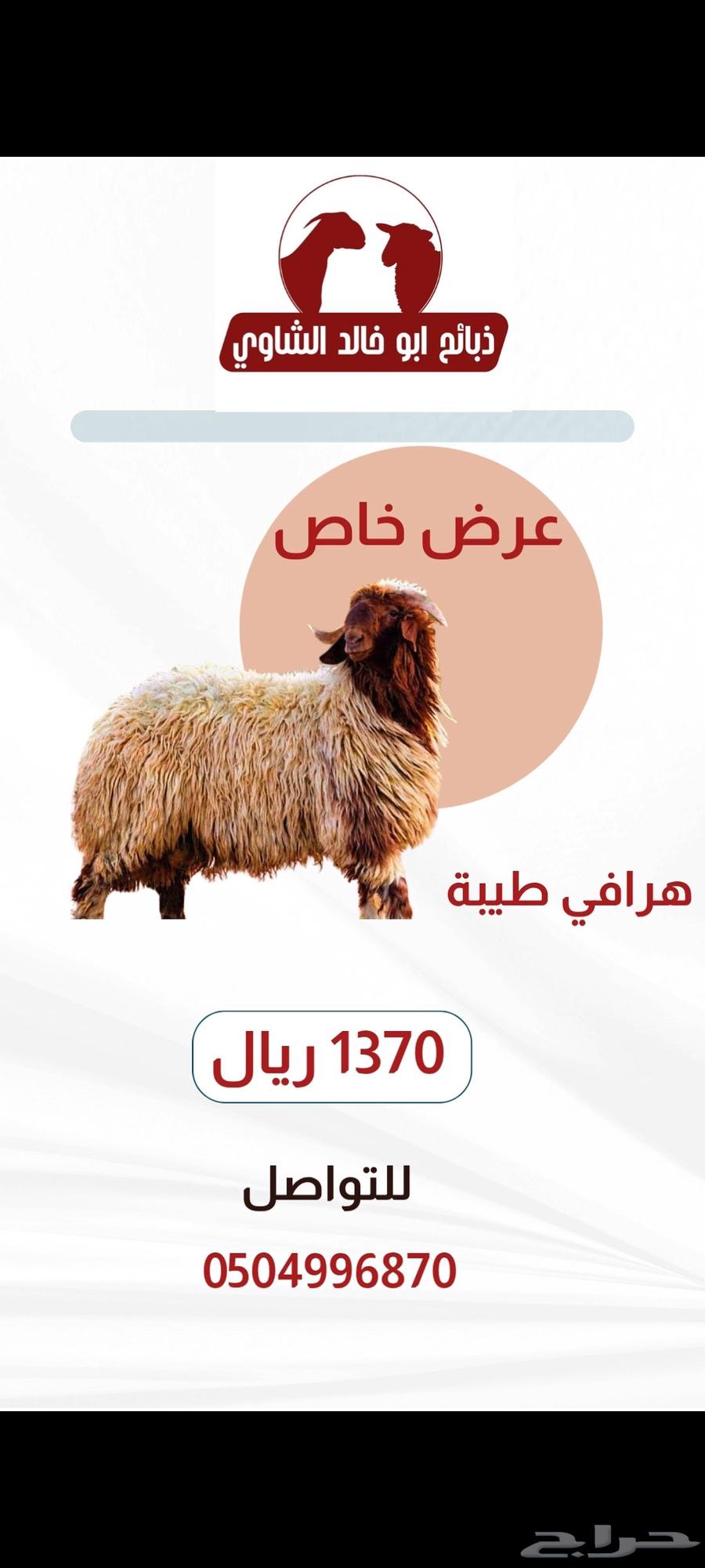 ذبائح ابوخالد63400982343809117