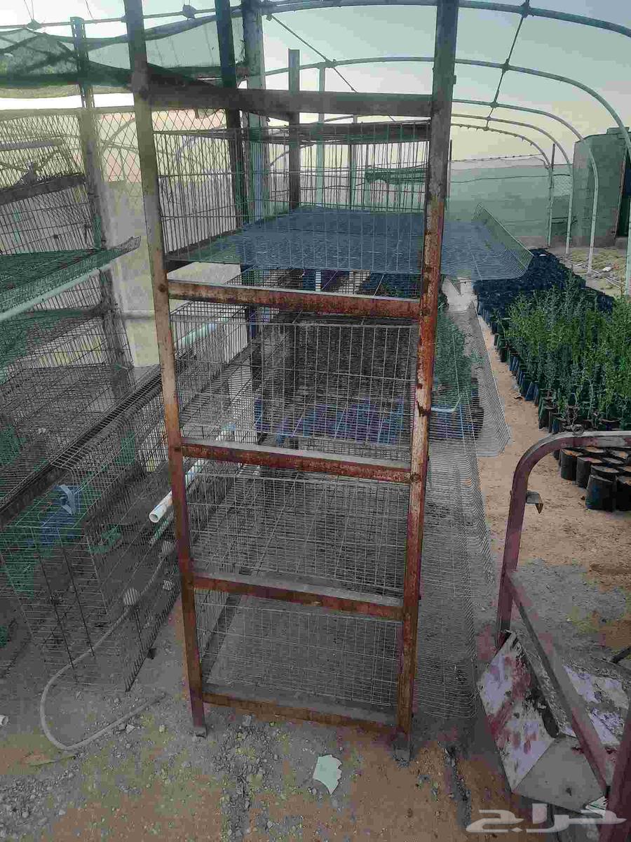 بطاريات سمان عدد 3 بطاريات مستعمل63398366774275112