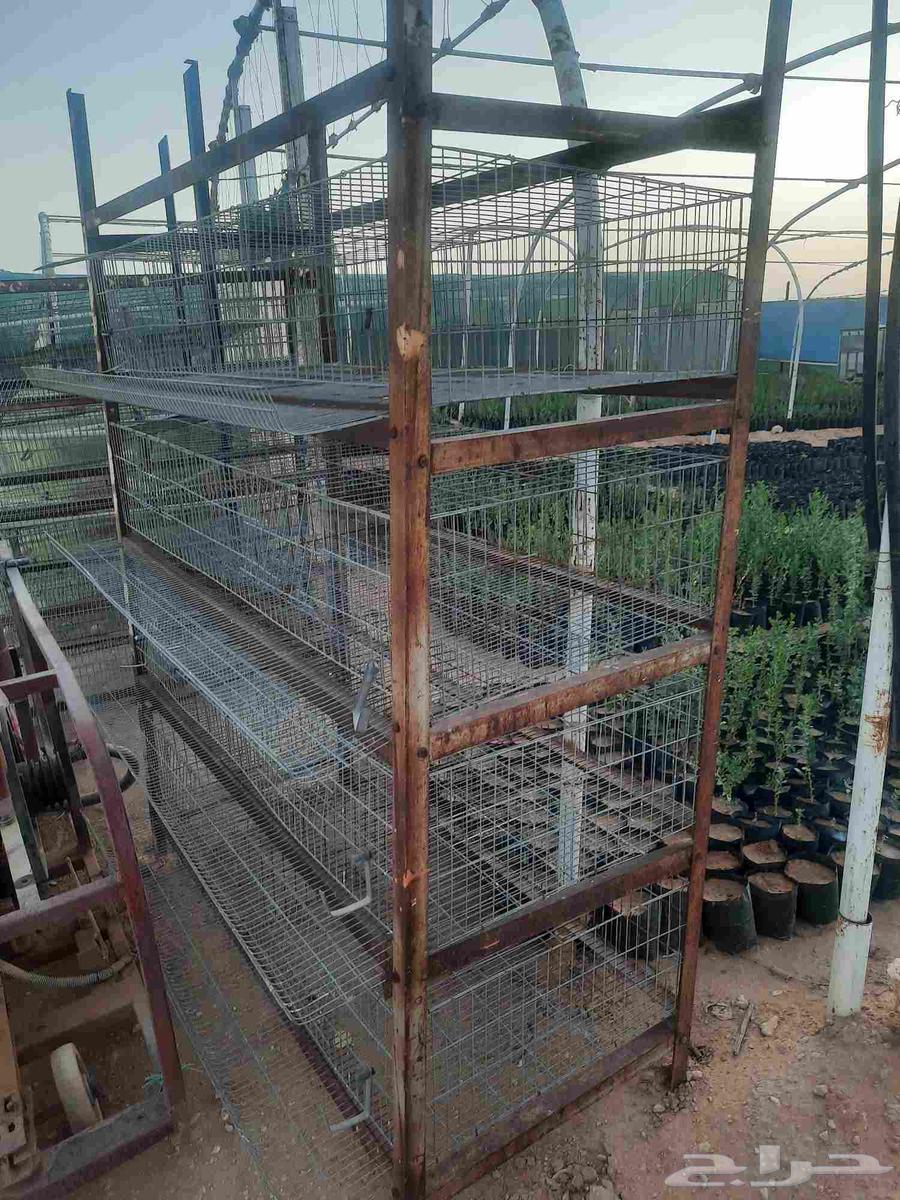 بطاريات سمان عدد 3 بطاريات مستعمل63398366774275111