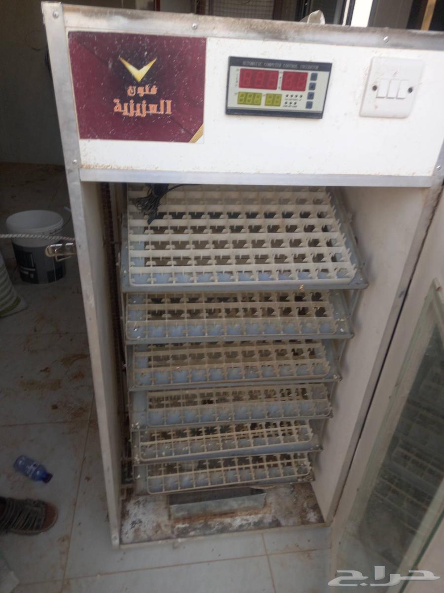 حاضنة بيض اتوماتيك. ثلاجة 12 قدم63402116577026111