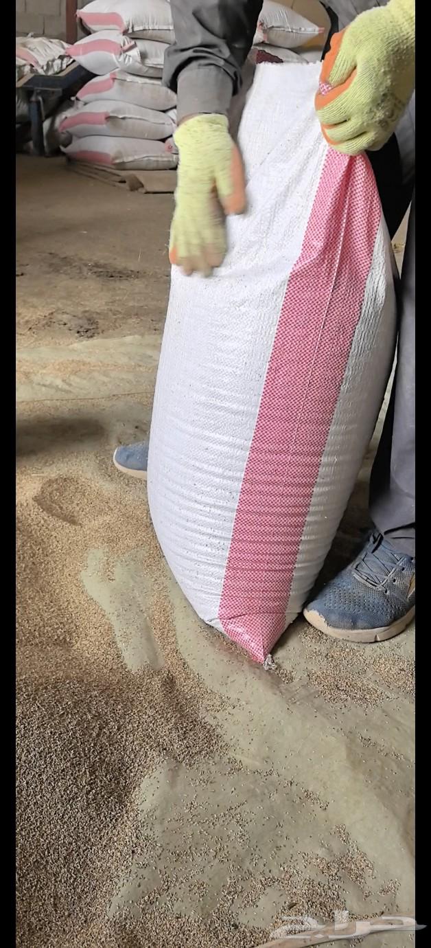 Bluebank seeds produced by Al-Badai' farms634010204629791111